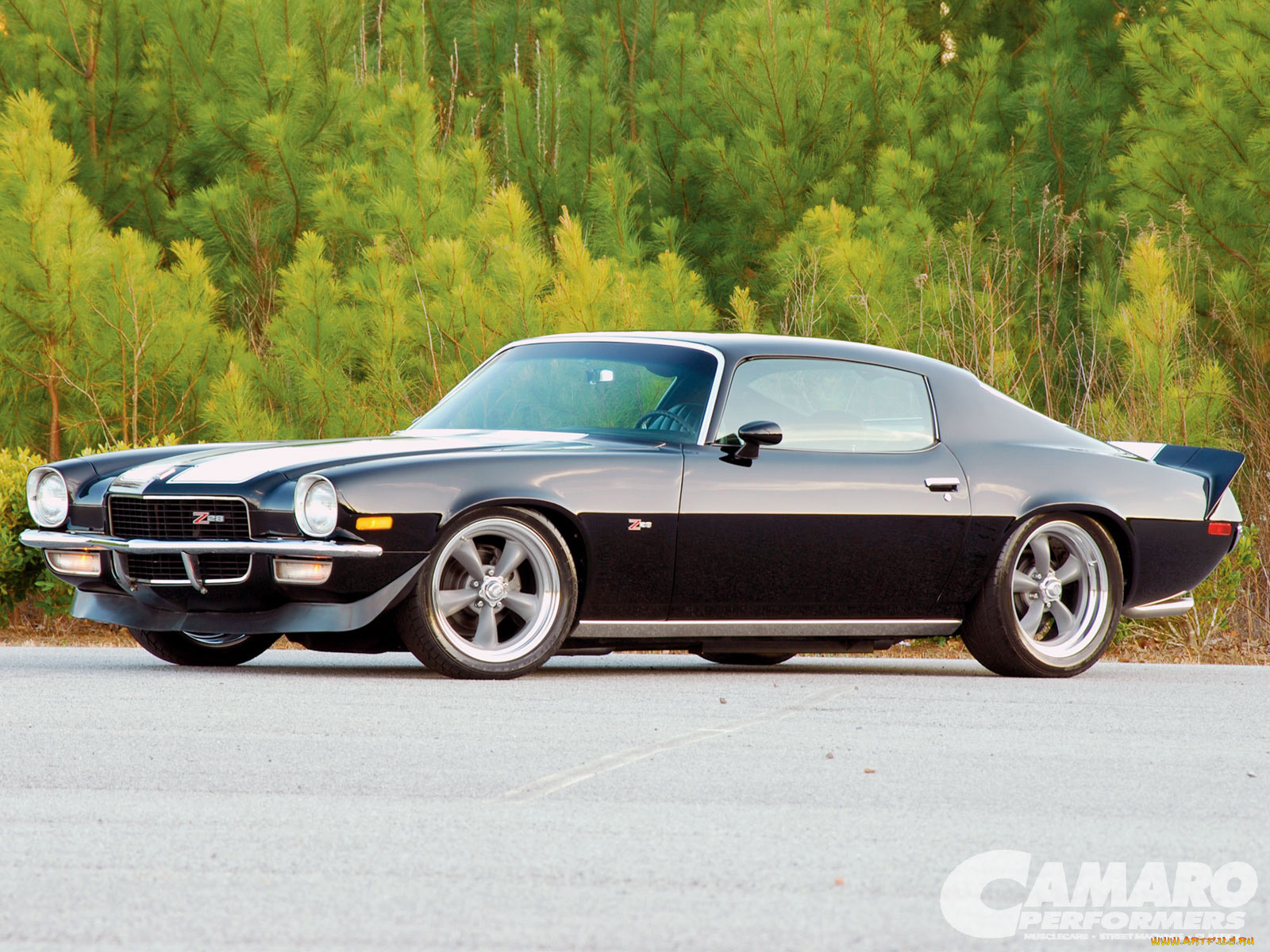 , camaro